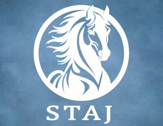 STAJ YOL HARİTASI ve 2024-2025 EĞİTİM-ÖĞRETİM YILI YAZ DÖNEMİ ZORUNLU STAJ BAŞLANGIÇ ve BİTİŞ TARİHLERİ