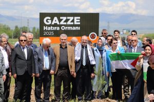 dc02a0563458b9aabc43e52163b3126c-scaled