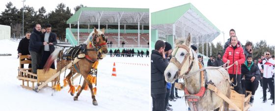 Geleneksel Atlı Kızak Yarışması