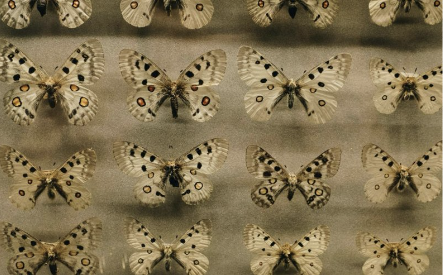 Ekran Resmi 2025-10-07 12.42.08