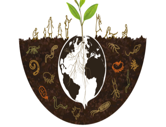 5 Aralık Dünya Toprak Günü